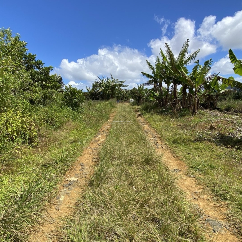 Prime Agricultural Land for Sale in Dagotière, Moka – 1,055 m²
