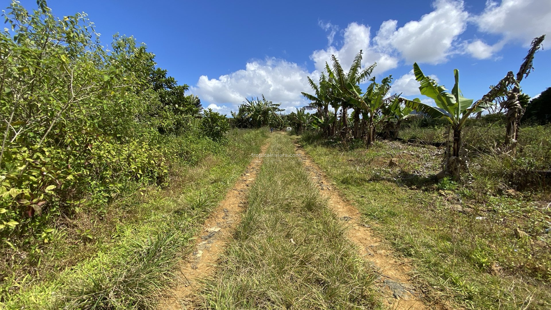 Prime Agricultural Land for Sale in Dagotière, Moka – 1,055 m²