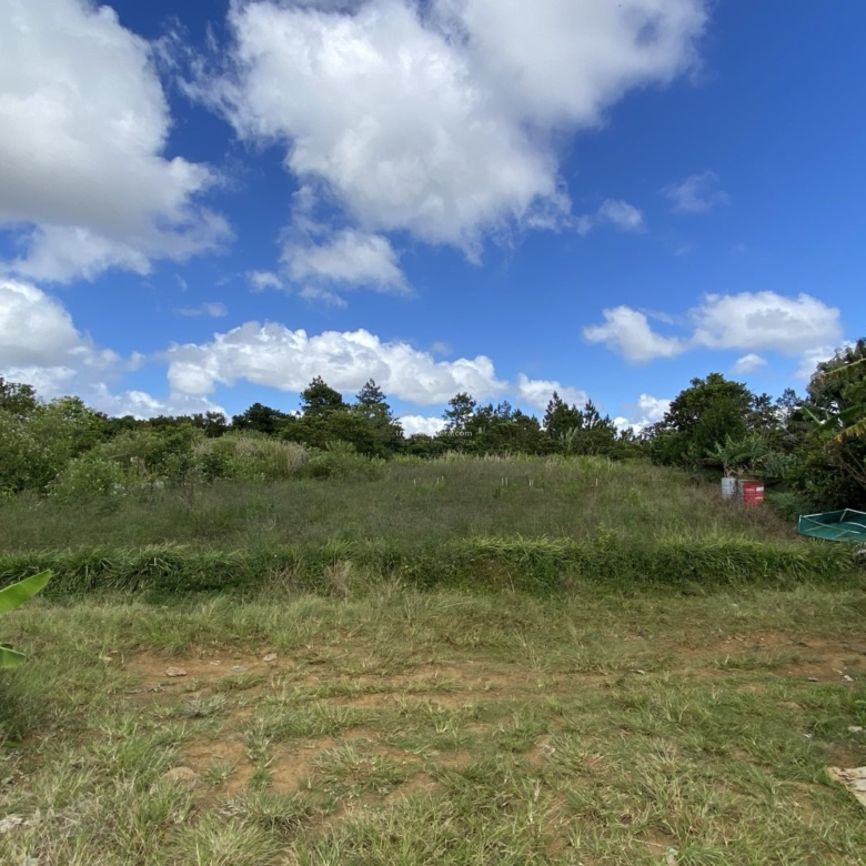 Prime Agricultural Land for Sale in Dagotière, Moka – 1,055 m²