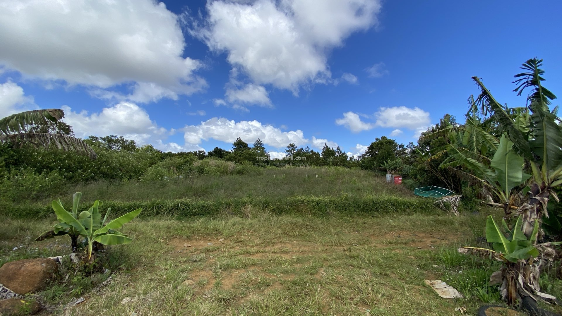 Prime Agricultural Land for Sale in Dagotière, Moka – 1,055 m²